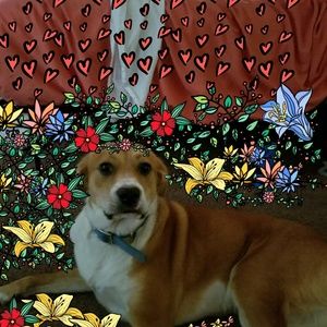 Meet your Posher, Lynn